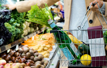 Grocery Cart