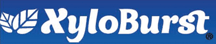 Xyloburst
